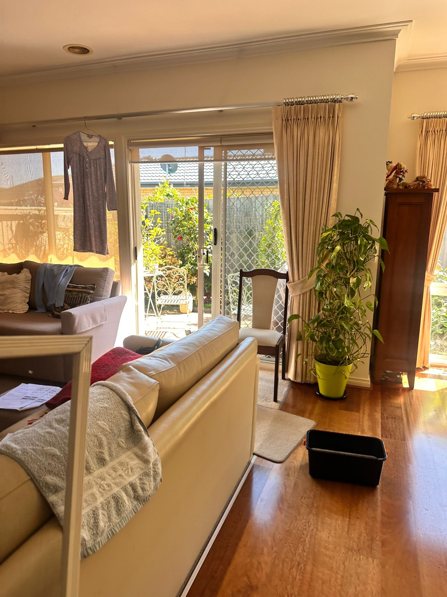 image-dimond-cleaning-pro